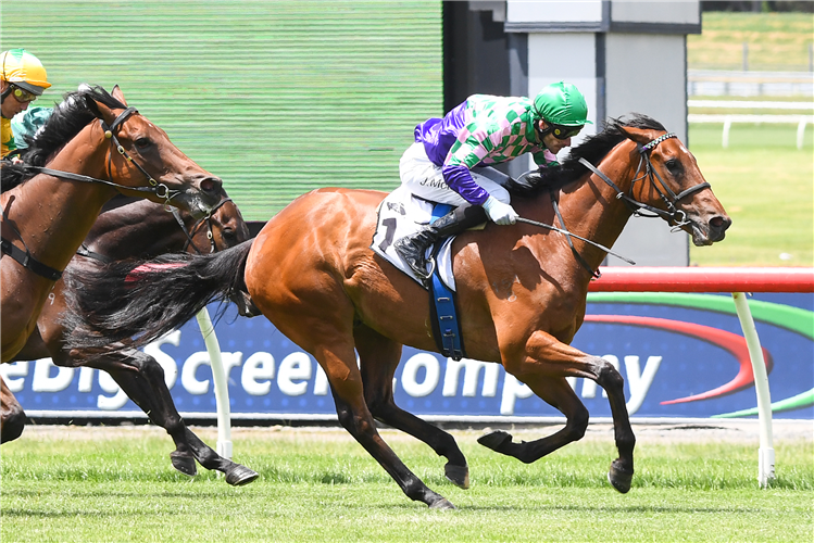 TASMAN PARK winning the Thoroughbred Club Australia Handicap at Ladbrokes Park Lakeside in Springvale, Australia.