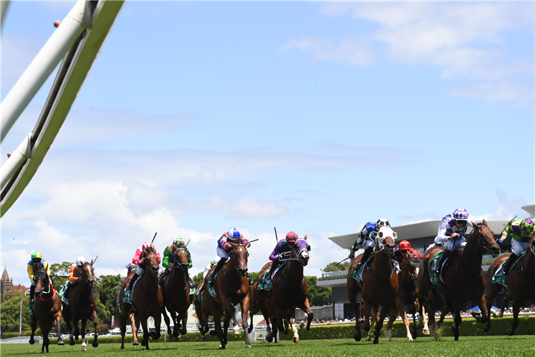 TESTATOR SILENS winning at Randwick