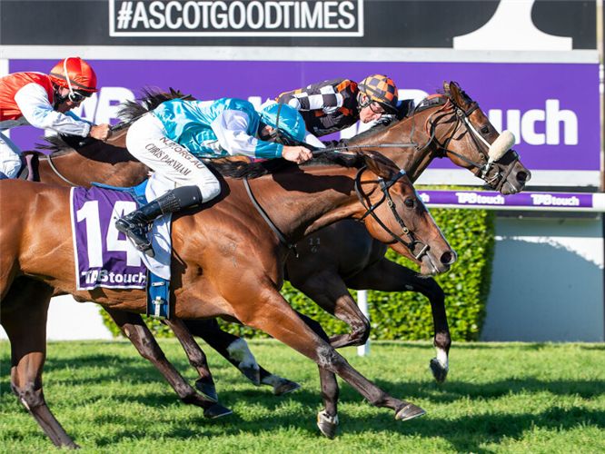 THE ASTROLOGIST (inside) winning the The Tabtouch-Gold Rush
