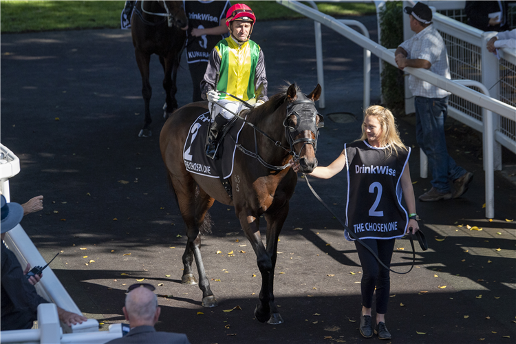 Opie Bosson will partner The Chosen One in his final raceday start on Saturday.