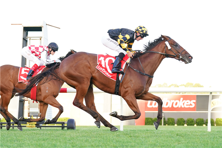 THE GARDEN winning the Ladbrokes Blended Bets Handicap at Ladbrokes Park Hillside in Springvale, Australia.