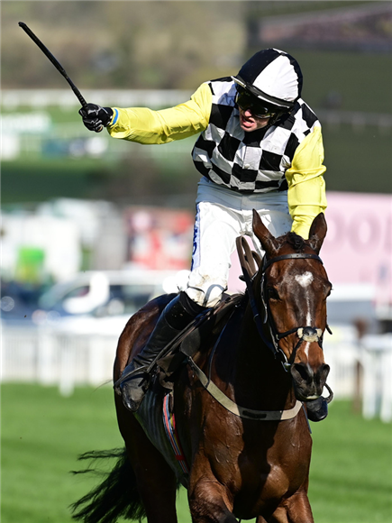 THE NICE GUY winning the Albert Bartlett Novices' Hurdle (Grade 1) (Registered As The Spa Novices' Hurdle) (GBB Race)