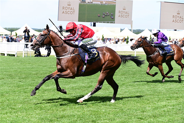 THE RIDLER winning the Norfolk Stakes at Royal Ascot in England.