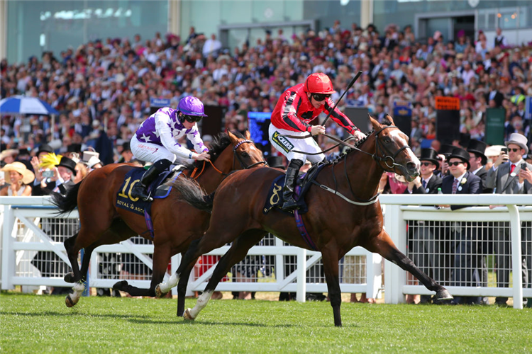 THE RIDLER winning the Norfolk Stakes at Royal Ascot in England.