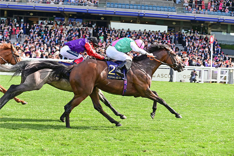 THESIS winning the Britannia Stakes at Royal Ascot in England.