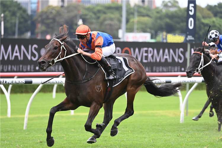 THINK IT OVER winning the The Agency Apollo Stakes at Randwick in Australia.