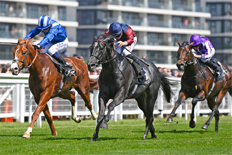 TIBER FLOW winning the BetVictor Carnarvon Stakes (Listed)