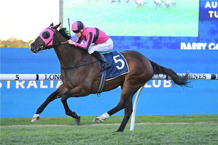 TITANIUM POWER winning the Barry Cook (Bm78) at Rosehill in Australia.