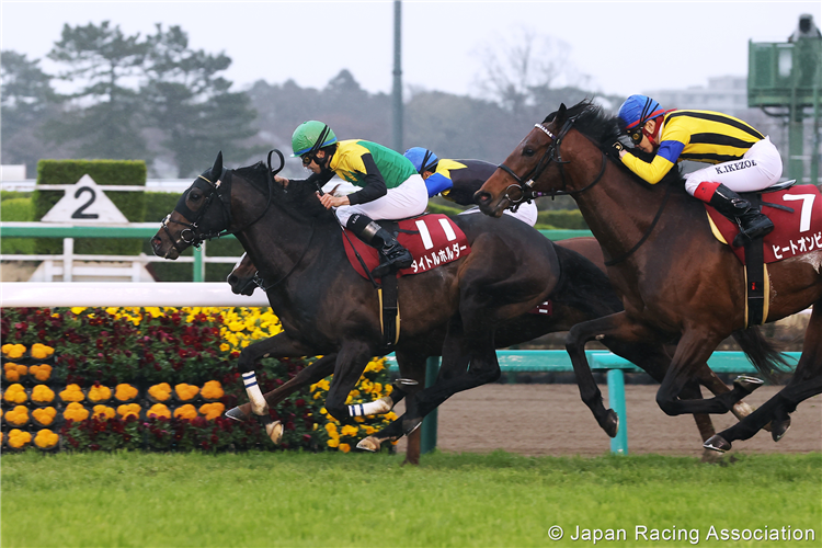 TITLEHOLDER winning the Nikkei Sho at Nakayama in Japan.