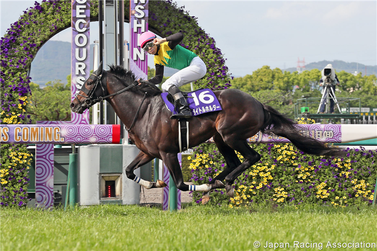 TITLEHOLDER winning the Tenno Sho (Spring) at Hanshin in Japan.