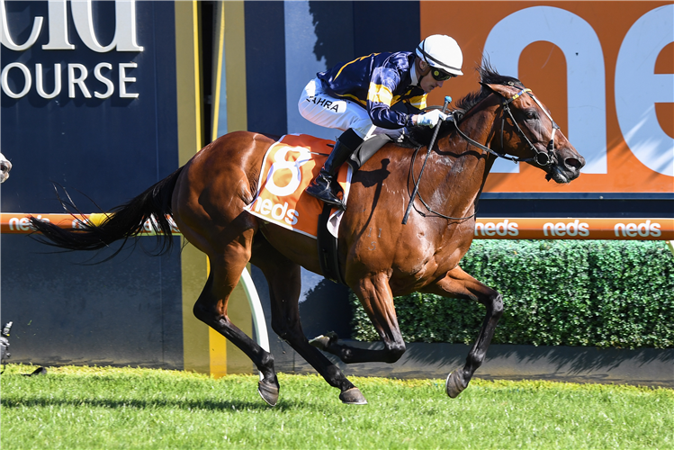 TOFANE winning the C.F. Orr Stakes at Caulfield in Australia.