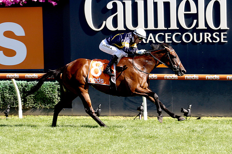 TOFANE winning the Neds C.F. Orr Stakes