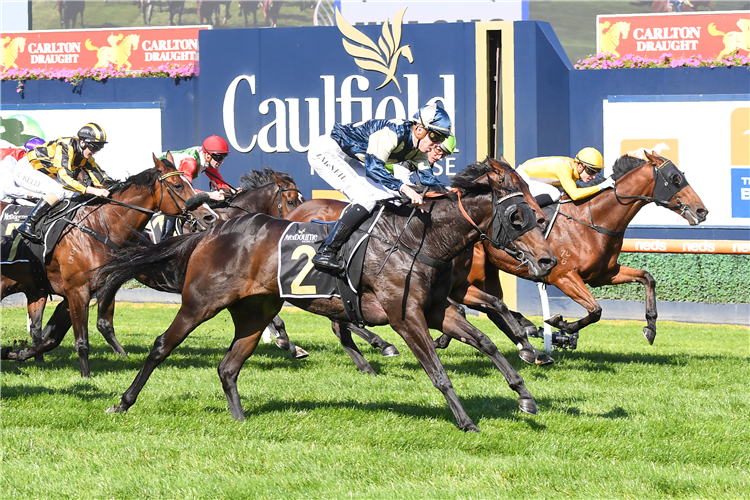 TOKORANGI (blue cap) winning the Yulong Stud Hcp at Caulfield in Australia.