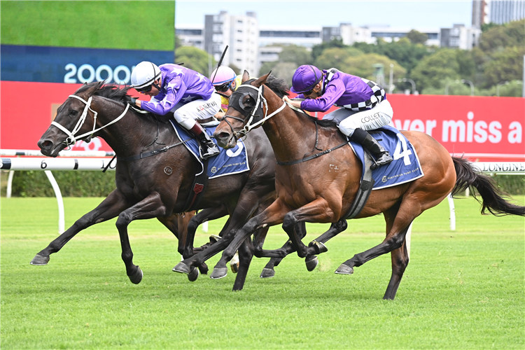 TOOMUCHTOBEAR winning the Precise Air (Bm88) at Randwick in Australia.