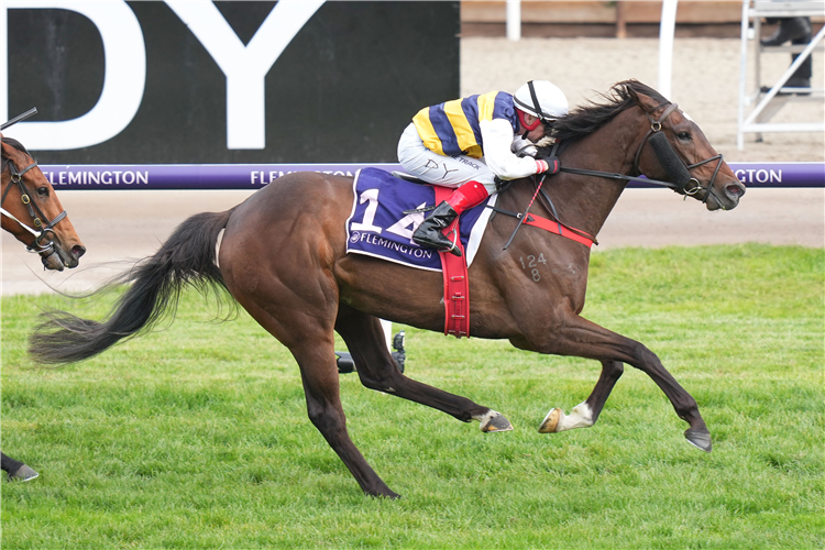 TOREGENE winning the Melbourne Cup Carnival Country Final at Flemington in Australia.