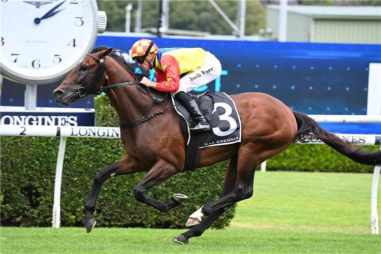 TORRENS winning the MAX BRENNER CHRISTMAS CUP at Randwick in Australia.