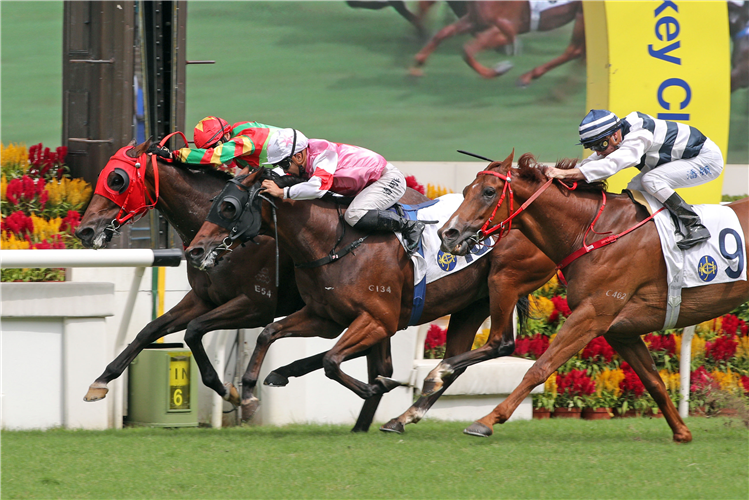 TOURBILLON DIAMOND winning the The Premier Plate