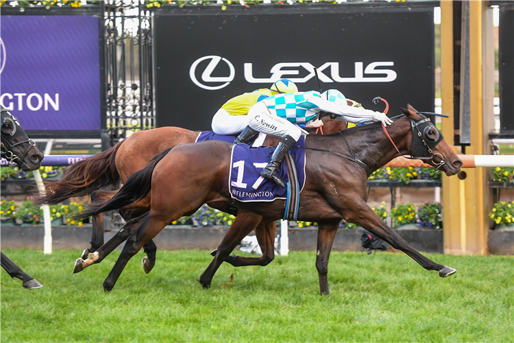 TRIPLE MISSILE winning the Vrc-Crv Winter C'ship at Flemington in Australia.