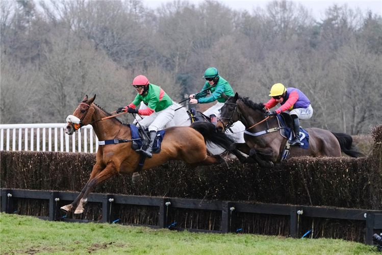 TWO FOR GOLD winning the Fleur De Lys Chase (GBB Race)