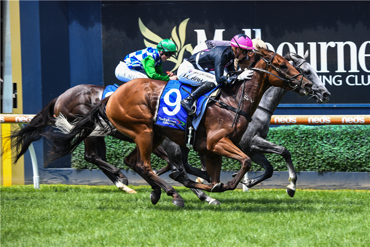 UNANIMOUS (pink cap) winning the The Big Screen Company Hcp at Caulfield in Australia.