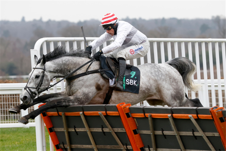 UNEXPECTED PARTY winning the SBK Holloway's Handicap Hurdle (GBB Race)