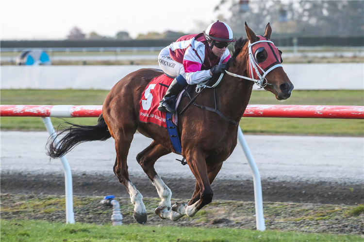 Vague will contest Sunday’s Dunstan Horsefeeds Waimate Cup (2200m).