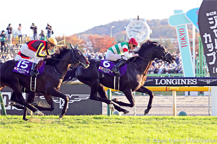 VELA AZUL winning the Japan Cup at Tokyo in Japan.