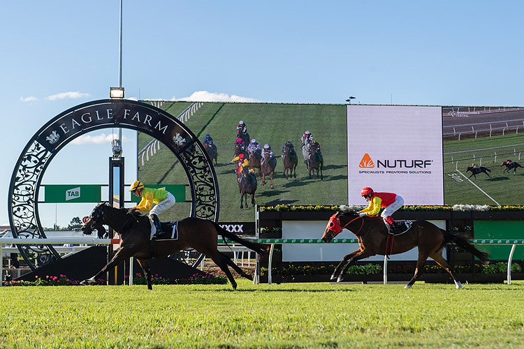 VINCO winning the Nuturf Spear Chief Qlty Hcp