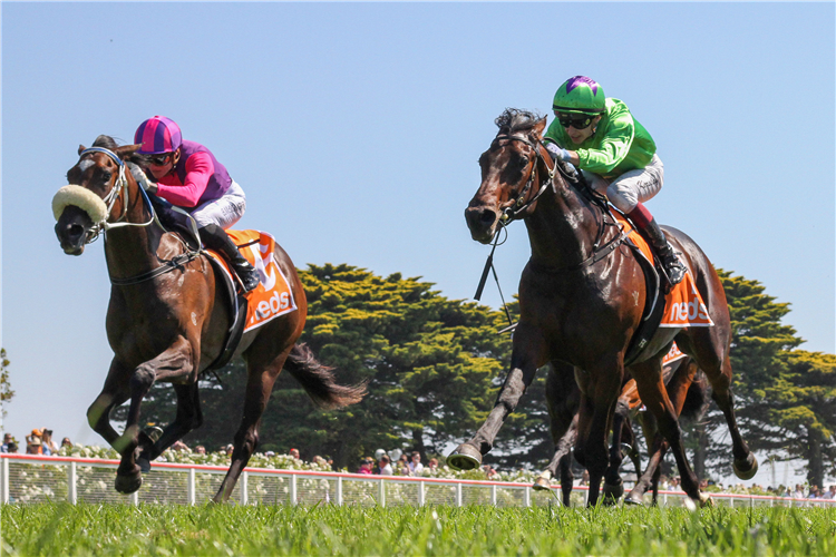 VIRTUOUS CIRCLE (inner) winning the Cleanaway Sustainability Sires