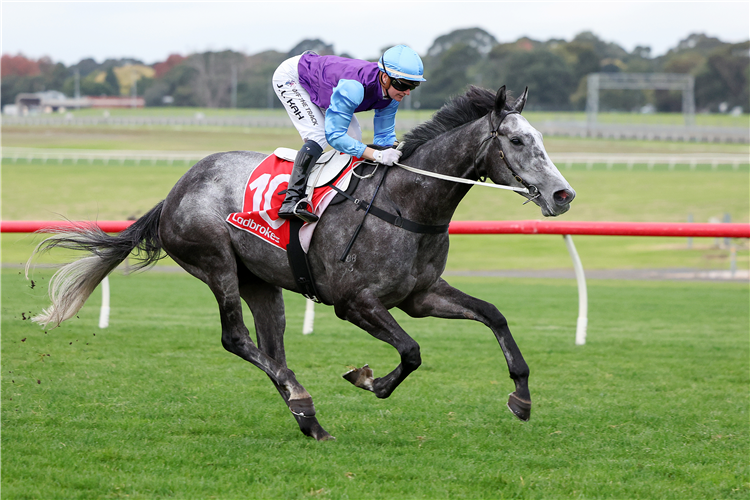 VISINARI winning the Ladbrokes Punter Assist Handicap at Ladbrokes Park Hillside in Springvale, Australia.