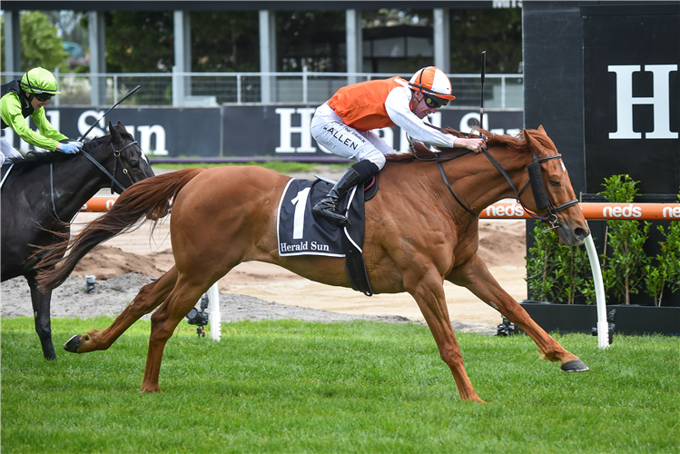 VOW AND DECLARE winning the Zipping Classic at Caulfield in Australia.