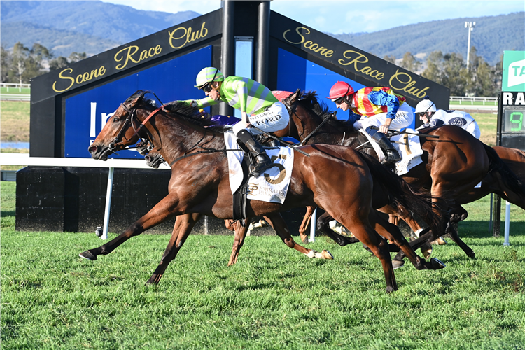 VULPINE winning the Emirates Park Ortensia Stks at Scone in Australia.