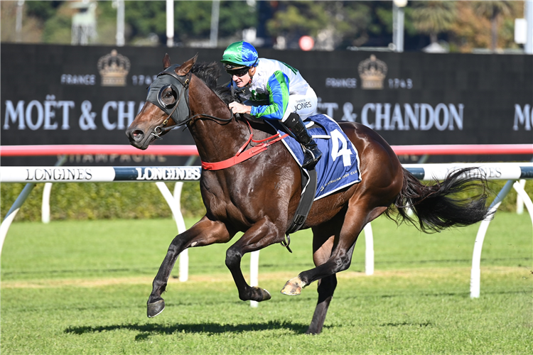 WAIHAHA FALLS winning the 50 Year And Life Members-Bm78 at Randwick in Australia.