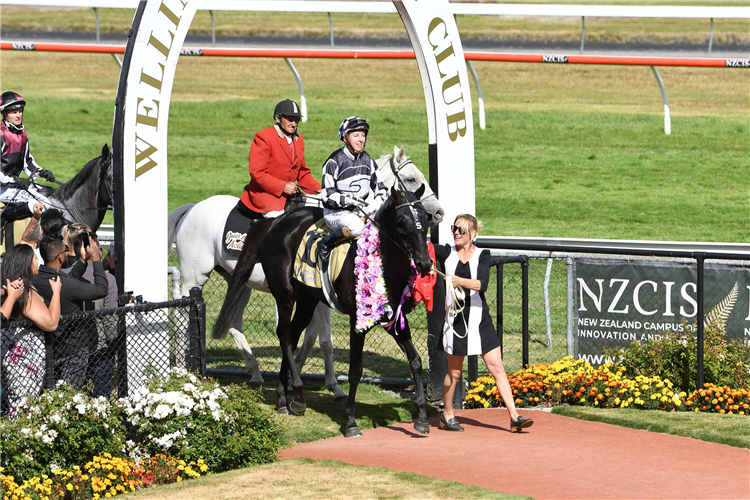 Waisake returning victorious after last year’s Gr.3 Wellington Cup (3200m).