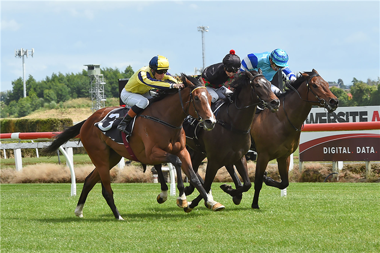 Waitak (left) gets the better of Channel Surfer (middle) and Matter Of Honour (inner) at the finish of the Listed Trevor & Corallie Eagle Memorial (1500m) at Te Rapa
