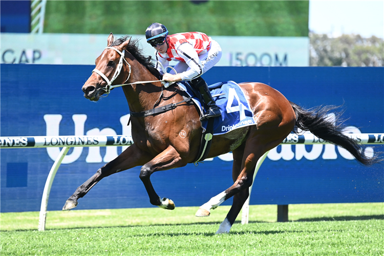 WATERFORD winning the FURPHY HANDICAP at Rosehill in Australia.
