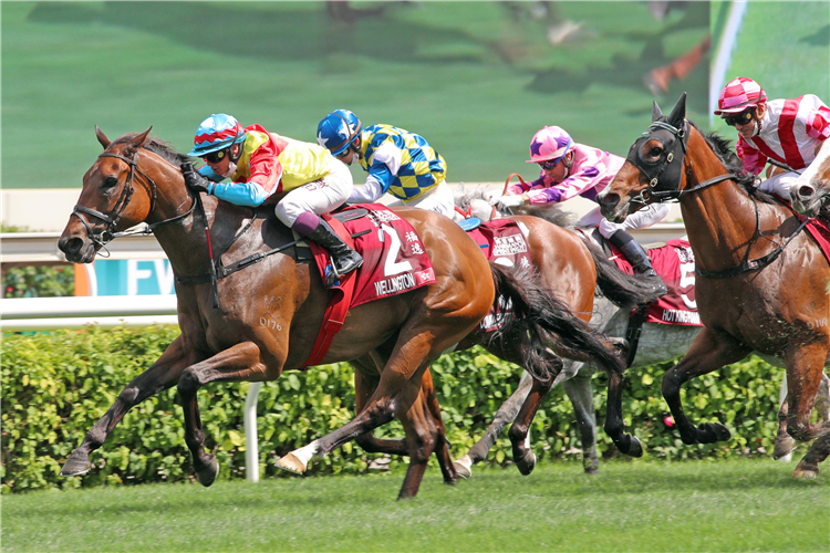 WELLINGTON winning the Chairman's Sprint Prize.