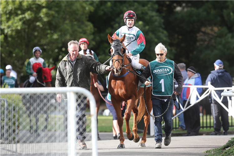 Guy Lowry (right) leads Wewillrock and rider Jonathan Riddell into the Te Rapa birdcage prior to a start on Saturday