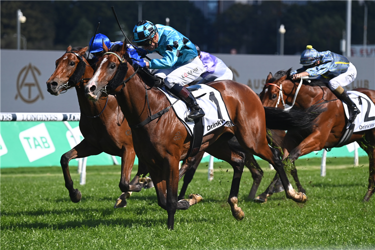 WILLIAMSBURG winning the DRINKWISE DULCIFY STAKES at Randwick in Australia.