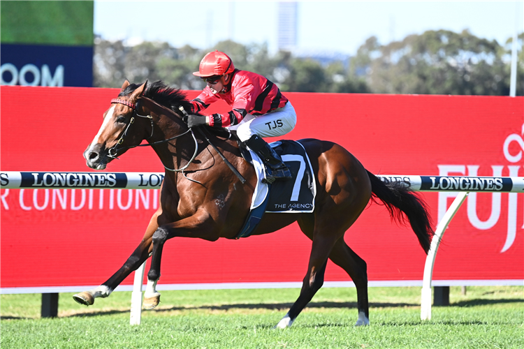 WILLINGA RUFIO winning the The Agency (Bm72) at Rosehill in Australia.