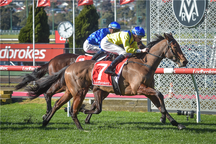 WINNERTAKESITALL winning the Mates Mode Hcp at Moonee Valley in Australia.