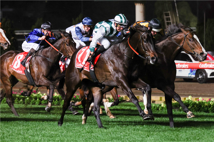 WOLFLANDS winning the 55 Second Challenge Heat 1 at Moonee Valley in Moonee Ponds, Australia.