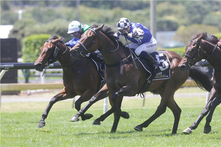Wolverine (outer) and Pacific Dragon fight out the finish of the Gr.2 First Global Logistics Eclipse Stakes (1200m) at Ellerslie, with Wolverine getting the win in the inquiry room.