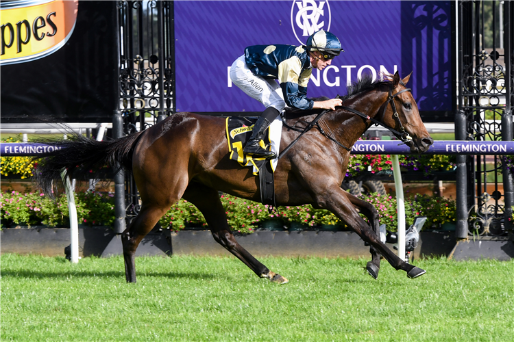 YONCE winning the The Schweppes Plate at Flemington in Australia.