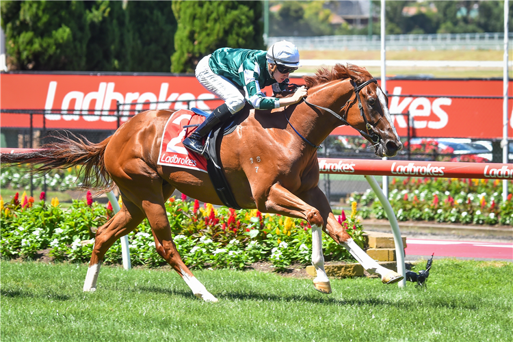 YULONG COMMAND winning the Fast Withdrawal Hcp at Moonee Valley in Australia.