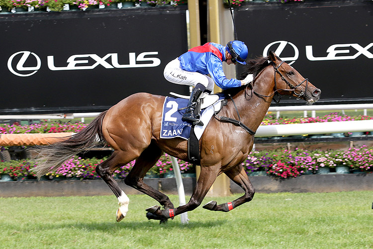 ZAAKI winning the Seppelt Wines All-Star Mile