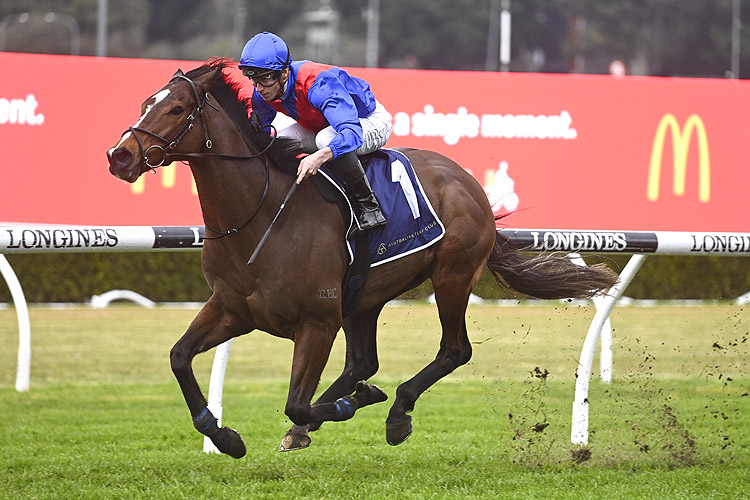 ZAAKI winning the GPI TRAMWAY STAKES