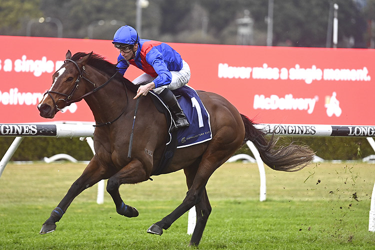 ZAAKI winning the GPI TRAMWAY STAKES.