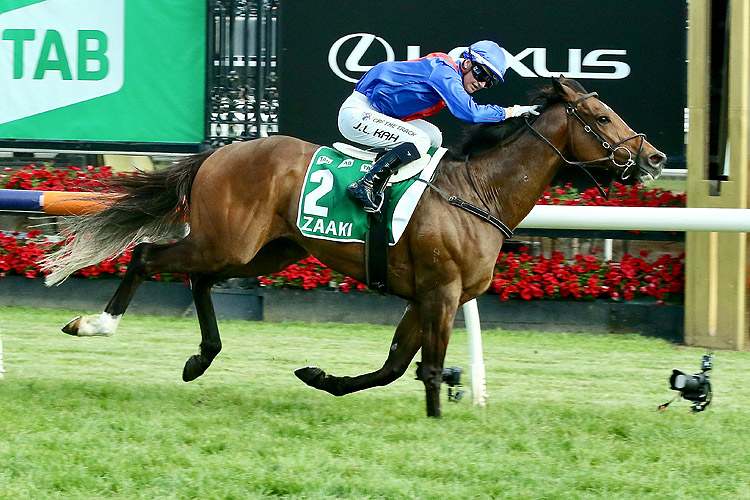 ZAAKI winning the TAB Champions Stakes