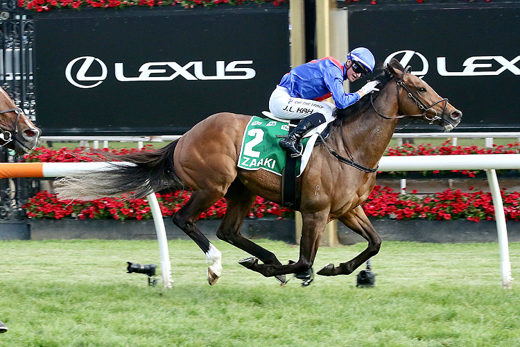 ZAAKI winning the TAB Champions Stakes